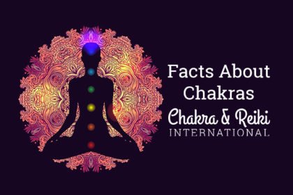 facts-about-chakras-chakra-and-reikie-wholesale